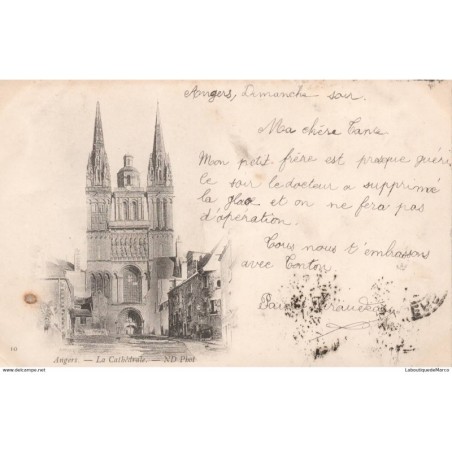 49 - Angers - La Cathédrale - Dos non Divisé