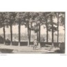 53 - Craon - Vue du Square de l'Eglise Saint-Nicolas - Dos Divisé