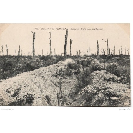 55 - La Bataille de Verdun - Dans le Bois des Corbeaux - Dos Divisé