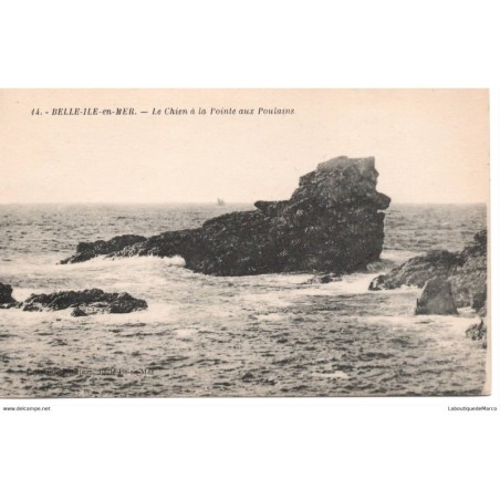 56 - Belle-Ile-en-Mer - La Pointe aux Poulains - Dos Divisé