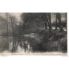 56 - Elven - Un Coin de l'Etang de la Boissière - Dos Divisé