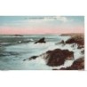56 - St-Pierre-Quiberon - La Côte Sauvage - Dos Divisé