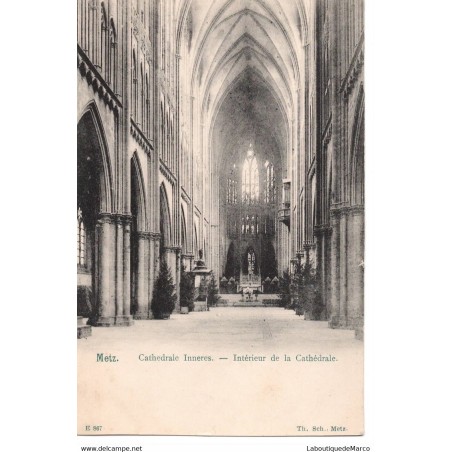57 - Metz - Cathédrale Inneres - Dos Divisé