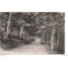 58 - Château-Chinon - La Promenade - Dos Divisé