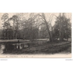 60 - Chantilly - Vue du...