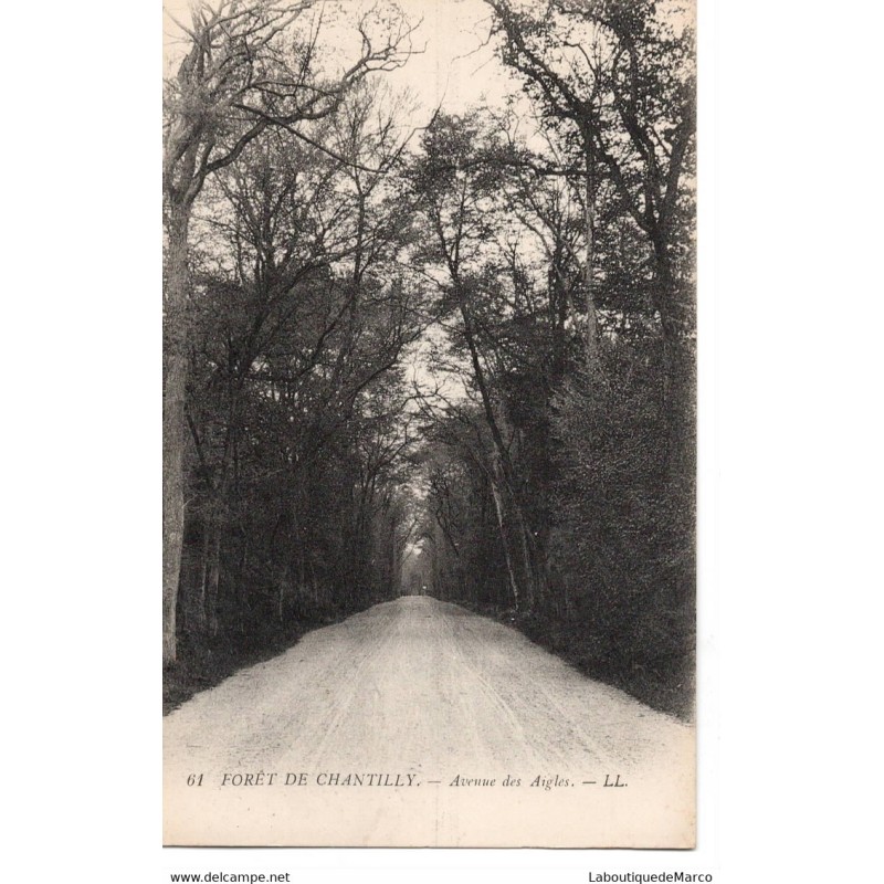 60 - Chantilly la Fôret - Avenue des Aigles - Dos Divisé