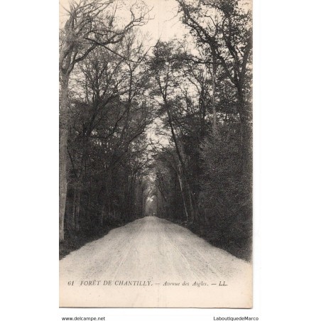 60 - Chantilly la Fôret - Avenue des Aigles - Dos Divisé
