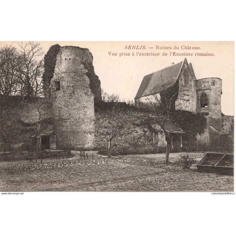 60 - Senlis - Ruines du Château - Dos Divisé