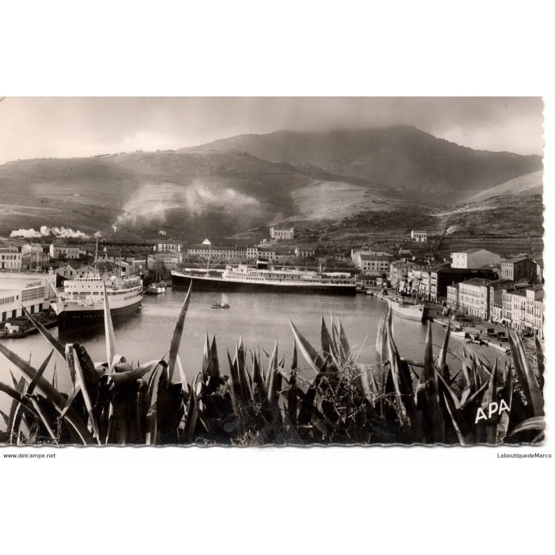 66 - Port-Vendres - Vue générale - Dos Divisé
