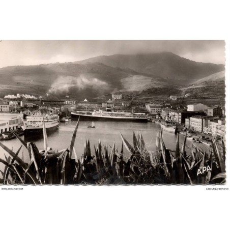 66 - Port-Vendres - Vue générale - Dos Divisé