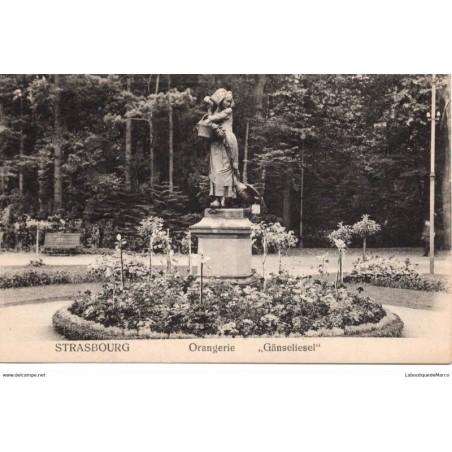 67 - Strasbourg - Orangerie - Dos Divisé - Vintage
