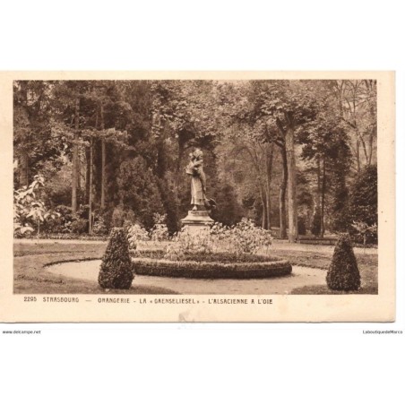 67 - Strasbourg - La Gaenseliesel - Dos Divisé