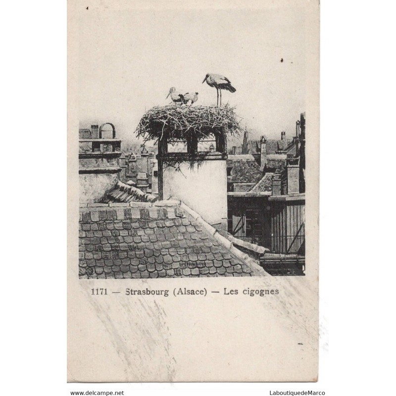 67 - Strasbourg - Les Cigognes - Dos Divisé