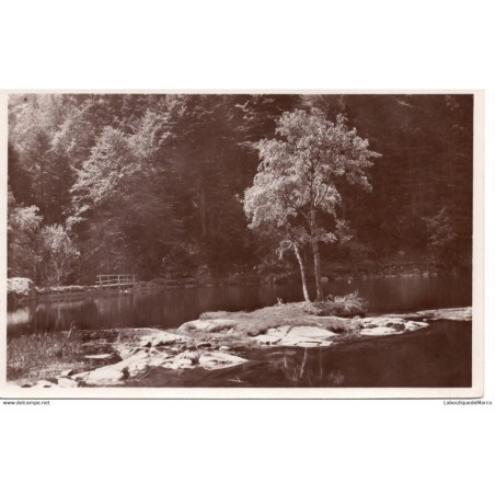 68 - Munster - La Vallée - Dos Divisé
