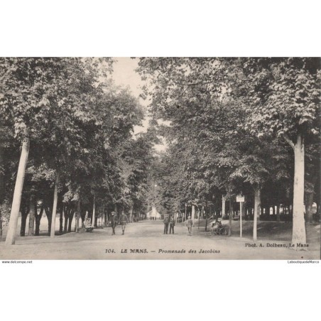 72 - Le Mans - Promenade des Jacobins - Dos Divisé
