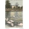 74 - Annecy - Les Cygnes et la Préfecture - Dos Divisé