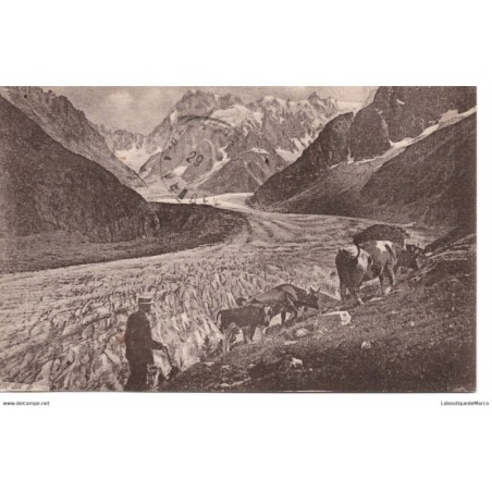 74 - Chamonix - La Mer de Glace et Pâturages -Dos Divisé