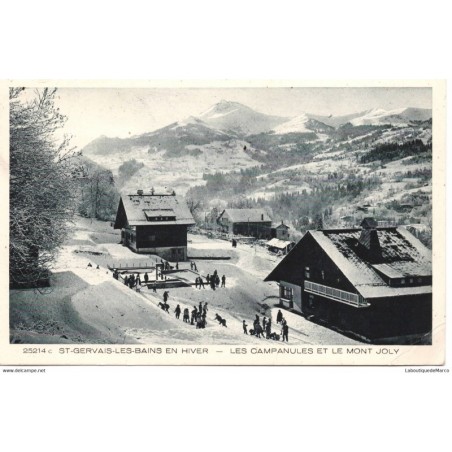 74 - St-Gervais-les-Bains - Les Campanules et le Mont Joly - Dos Divisé