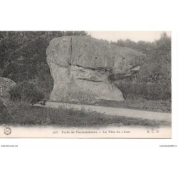 77 - Fontainebleau - La...