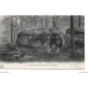 77 - Fontainebleau - La Forêt - L'Eléphant - Dos Divisé