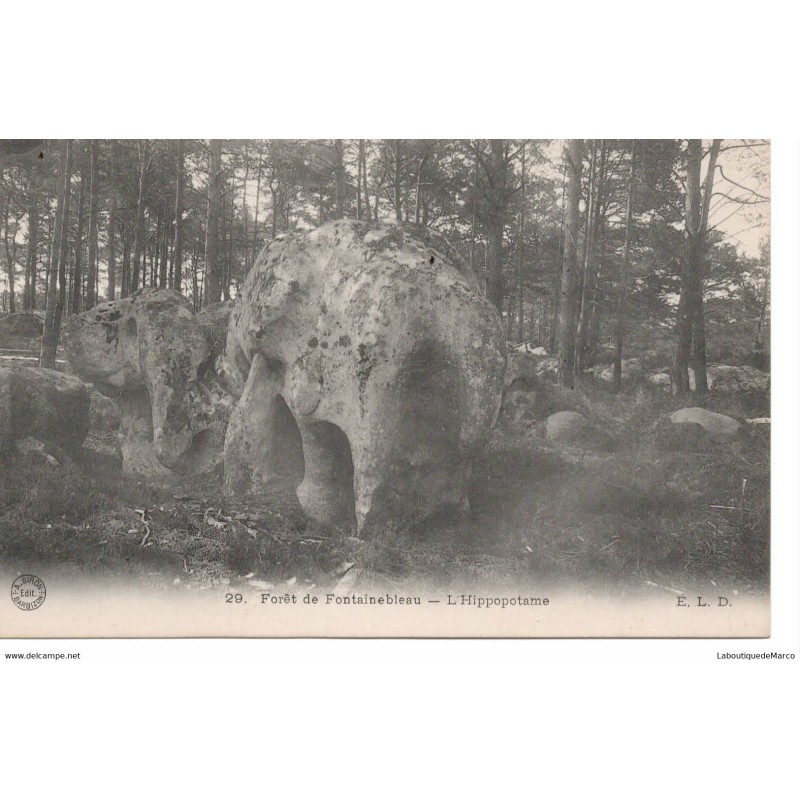 77 - Fontainebleau - La Forêt - L'Hippopotame - Dos Divisé