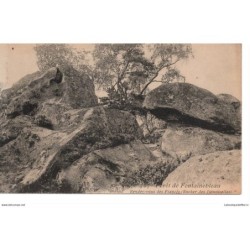 77 - Fontainebleau - La...