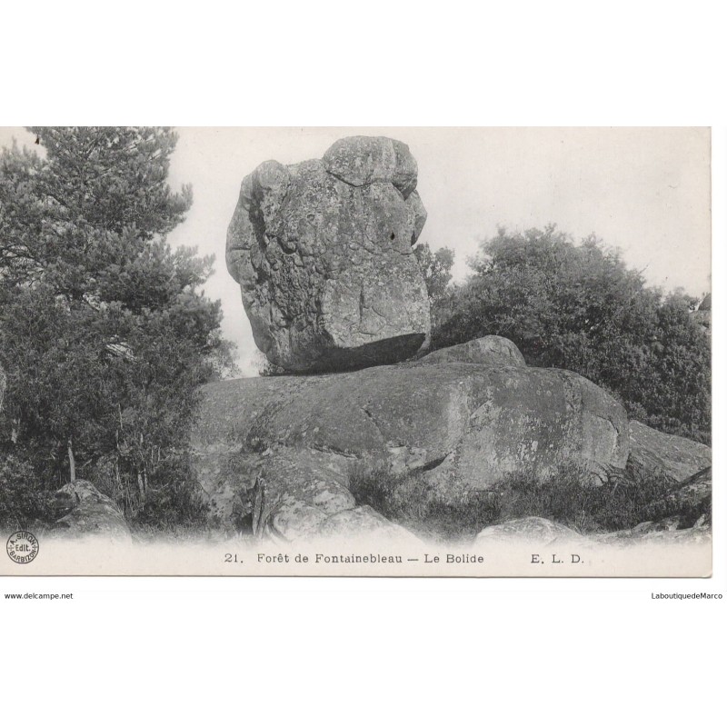 77 - Fontainebleau - La Forêt - Le Bolide - Dos Divisé