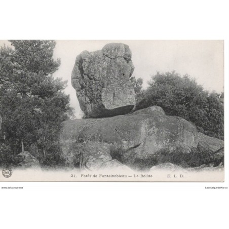 77 - Fontainebleau - La Forêt - Le Bolide - Dos Divisé