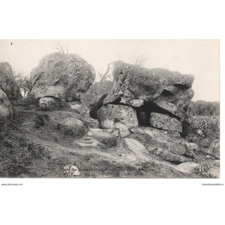 77 - Fontainebleau - La Forêt - Rocher Saint-Germain - Dos Divisé