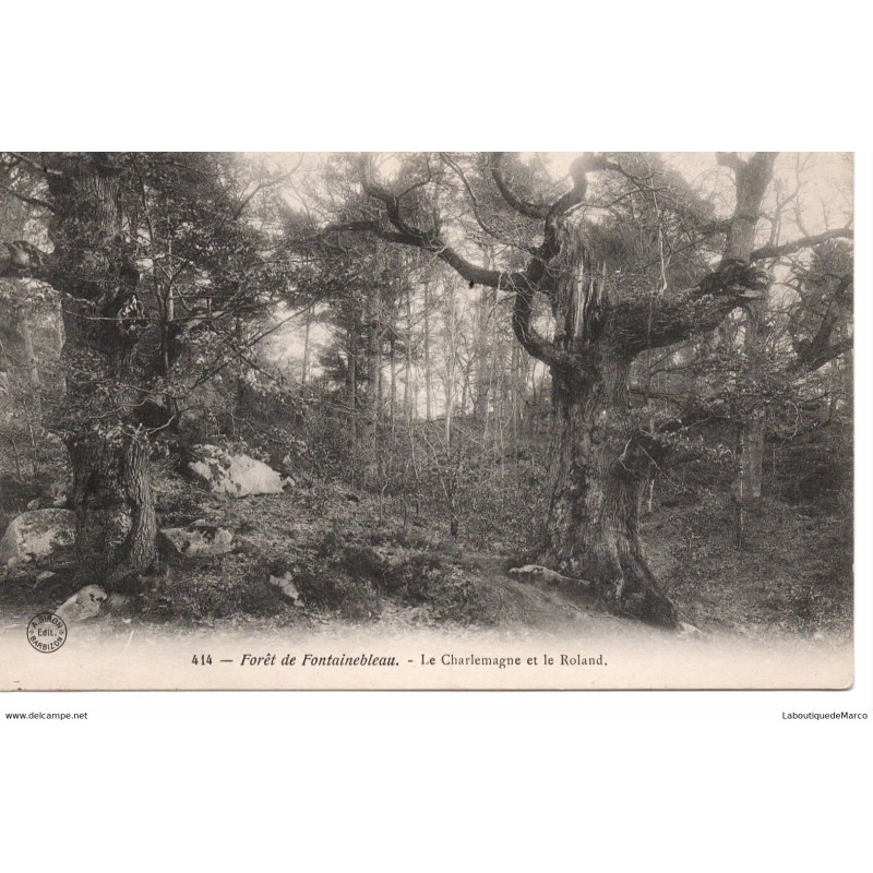 77 - Fontainebleau - La Forêt - Le Charlemagne et le Roland - Dos Divisé
