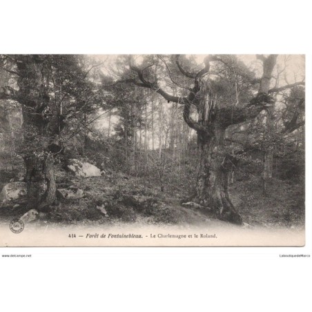 77 - Fontainebleau - La Forêt - Le Charlemagne et le Roland - Dos Divisé