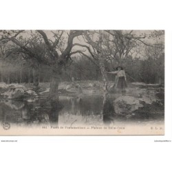 77 - Fontainebleau - La...