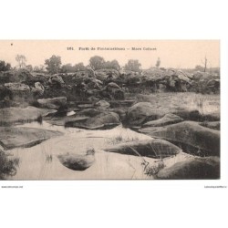 77 - Fontainebleau - La...