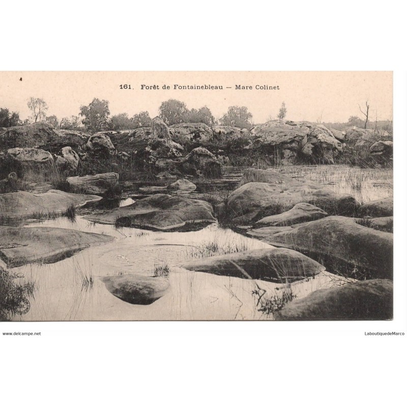 77 - Fontainebleau - La Forêt - Mare Colinet - Dos Divisé
