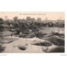 77 - Fontainebleau - La Forêt - Mare Colinet - Dos Divisé