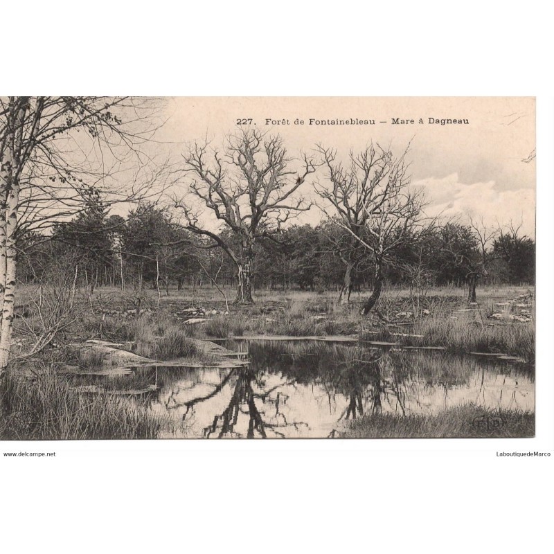 77 - Fontainebleau - La Forêt - Mare à Dagneau - Dos Divisé