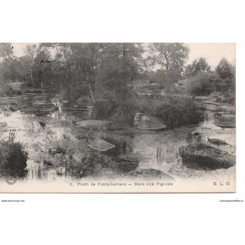 77 - Fontainebleau - La Forêt - Mare aux Pigeons - Dos Divisé