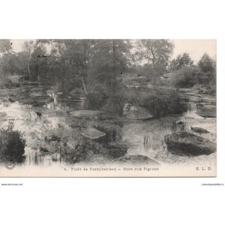 77 - Fontainebleau - La Forêt - Mare aux Pigeons - Dos Divisé
