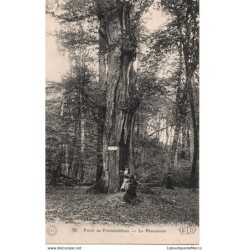 77 - Fontainebleau - La...