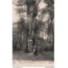 77 - Fontainebleau - La Forêt - Le Pharamont - Dos Divisé