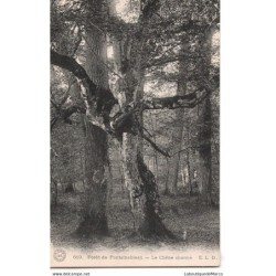 77 - Fontainebleau - La...