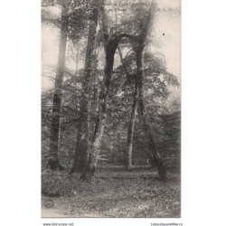 77 - Fontainebleau - La...