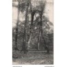 77 - Fontainebleau - La Forêt - Les Frères Siamois - Dos Divisé