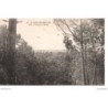 85 - St-Jean-de-Monts - Vue à travers la Forêt - Dos Divisé