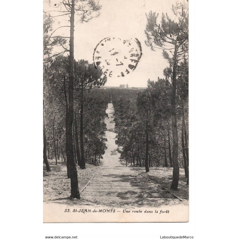 85 - St-Jean-de-Monts - Une route dans la forêt - Dos Divisé
