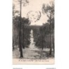 85 - St-Jean-de-Monts - Une route dans la forêt - Dos Divisé