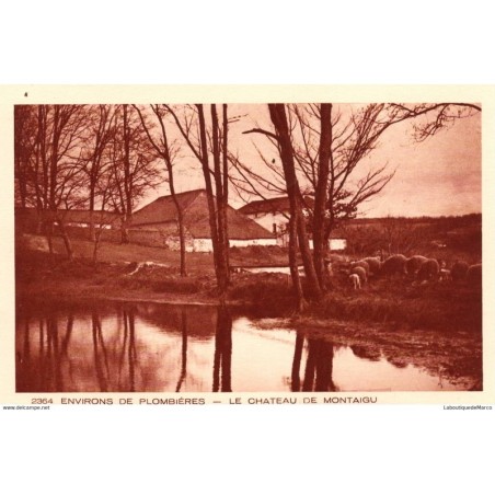 88 - Plombières - Le Château de Montaigu - Dos Divisé