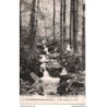88 - Plombières - Petit Cascade du Parc - Dos Divisé