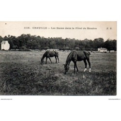 92 - Chaville - Les Haras...