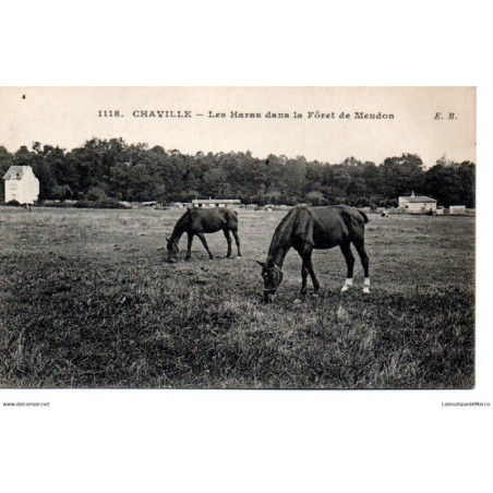 92 - Chaville - Les Haras dans la Fôret de Meudon - Dos Divisé